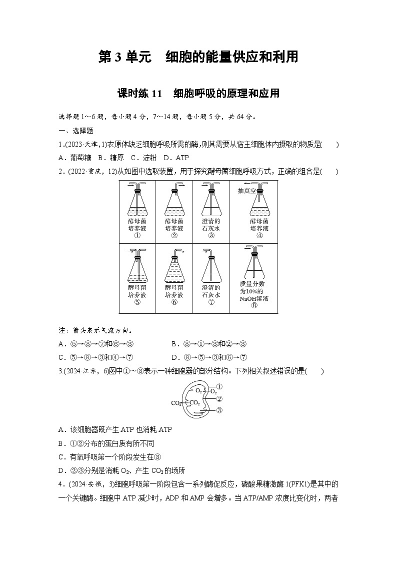 【备考2026】高考生物一轮复习资源：第3单元 课时练11 细胞呼吸的原理和应用（课时精练）（学生版）第1页