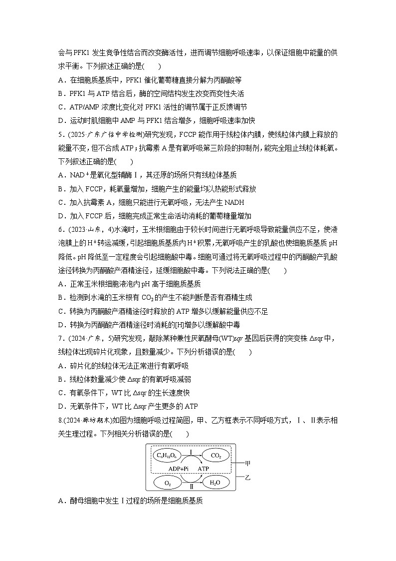 【备考2026】高考生物一轮复习资源：第3单元 课时练11 细胞呼吸的原理和应用（课时精练）（学生版）第2页