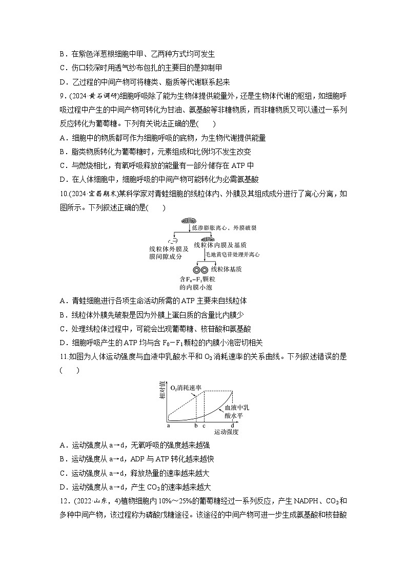 【备考2026】高考生物一轮复习资源：第3单元 课时练11 细胞呼吸的原理和应用（课时精练）（学生版）第3页