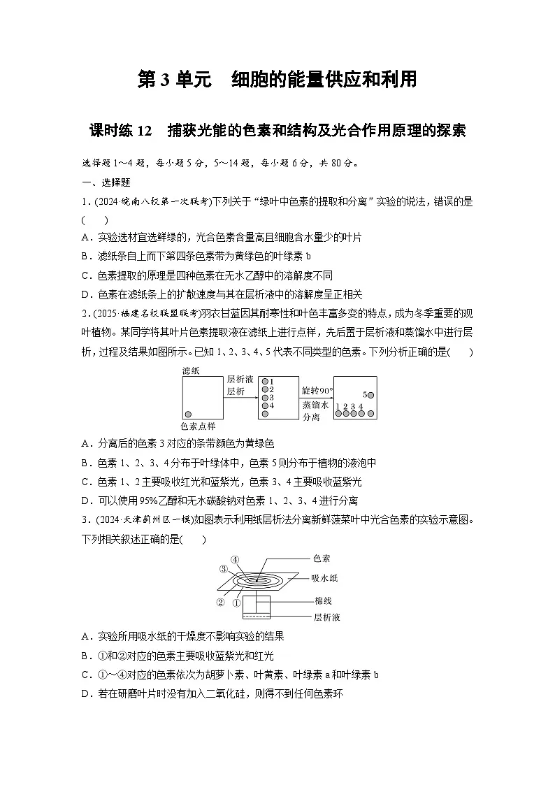 【备考2026】高考生物一轮复习资源：第3单元 课时练12 捕获光能的色素和结构及光合作用原理的探索（课时精练）（学生版）第1页