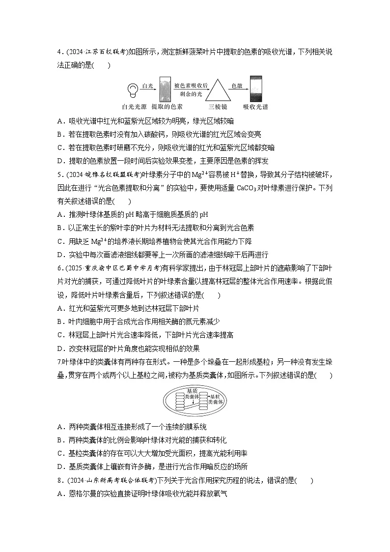 【备考2026】高考生物一轮复习资源：第3单元 课时练12 捕获光能的色素和结构及光合作用原理的探索（课时精练）（学生版）第2页