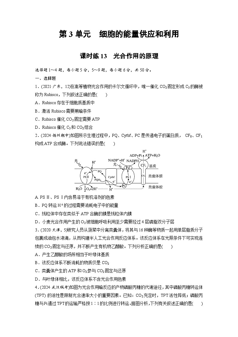 【备考2026】高考生物一轮复习资源：第3单元 课时练13 光合作用的原理（课时精练）（学生版）第1页