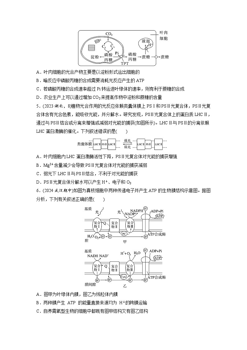 【备考2026】高考生物一轮复习资源：第3单元 课时练13 光合作用的原理（课时精练）（学生版）第2页