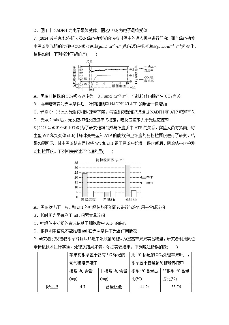【备考2026】高考生物一轮复习资源：第3单元 课时练13 光合作用的原理（课时精练）（学生版）第3页