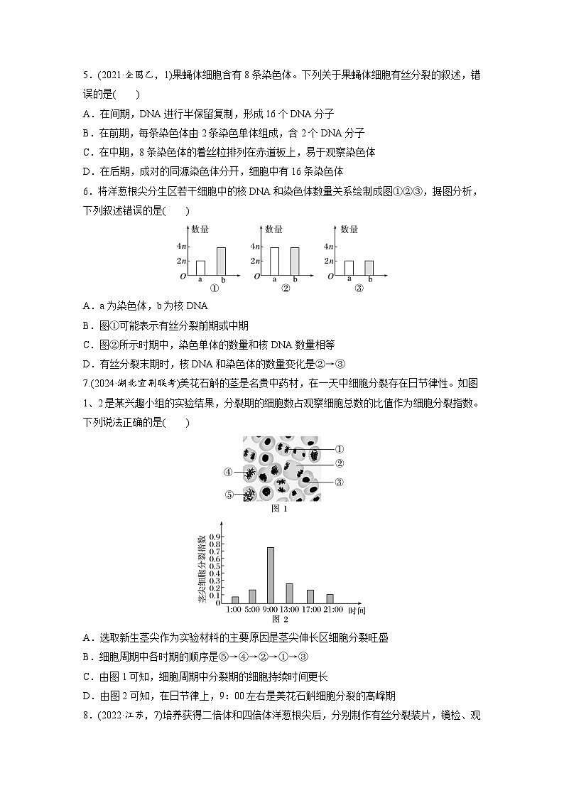【备考2026】高考生物一轮复习资源：第4单元 课时练16 细胞的增殖（课时精练）（学生版）第2页