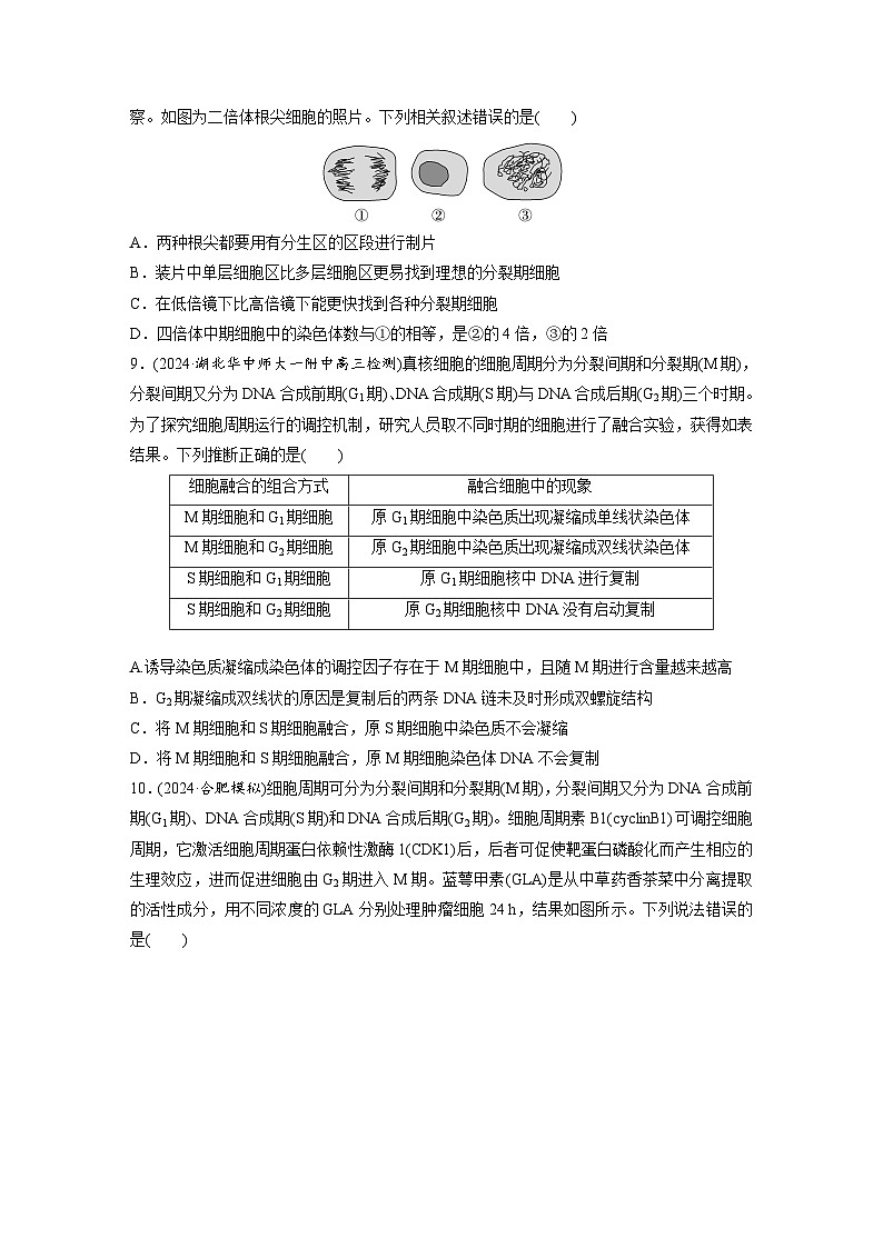 【备考2026】高考生物一轮复习资源：第4单元 课时练16 细胞的增殖（课时精练）（学生版）第3页