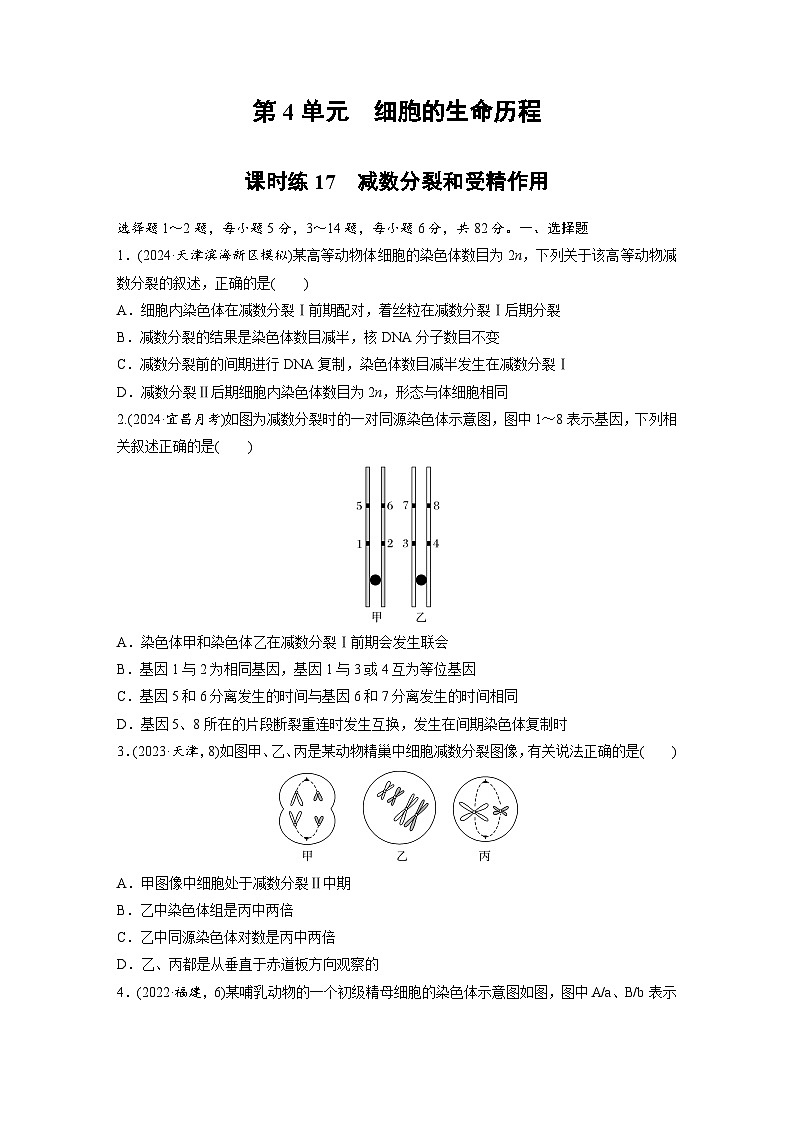 【备考2026】高考生物一轮复习资源：第4单元 课时练17 减数分裂和受精作用（课时精练）（学生版）第1页