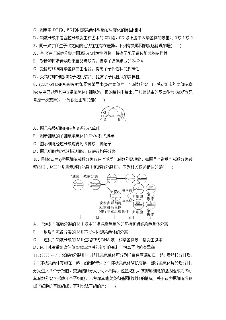 【备考2026】高考生物一轮复习资源：第4单元 课时练17 减数分裂和受精作用（课时精练）（学生版）第3页