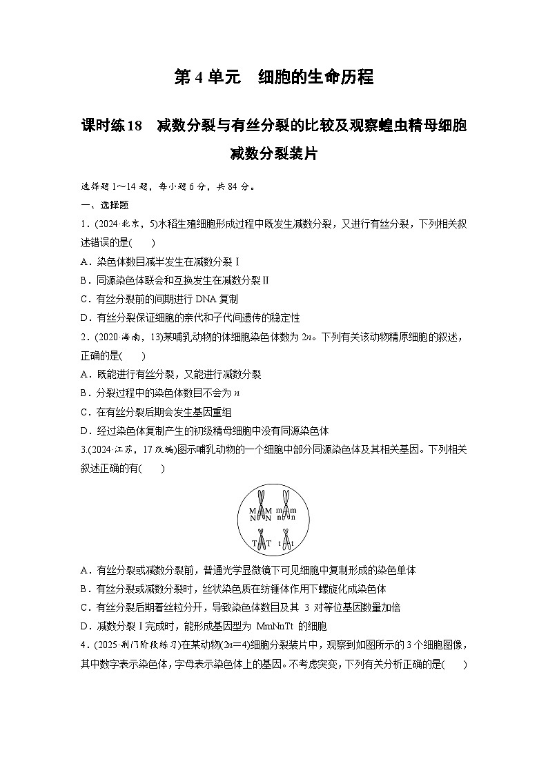 【备考2026】高考生物一轮复习资源：第4单元 课时练18 减数分裂与有丝分裂的比较及观察蝗虫精母细胞减数分裂装片 课时精练第1页