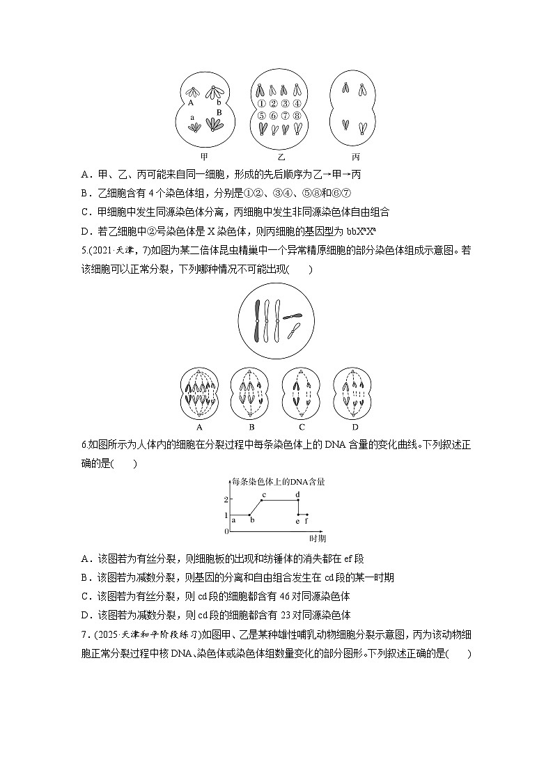 【备考2026】高考生物一轮复习资源：第4单元 课时练18 减数分裂与有丝分裂的比较及观察蝗虫精母细胞减数分裂装片 课时精练第2页