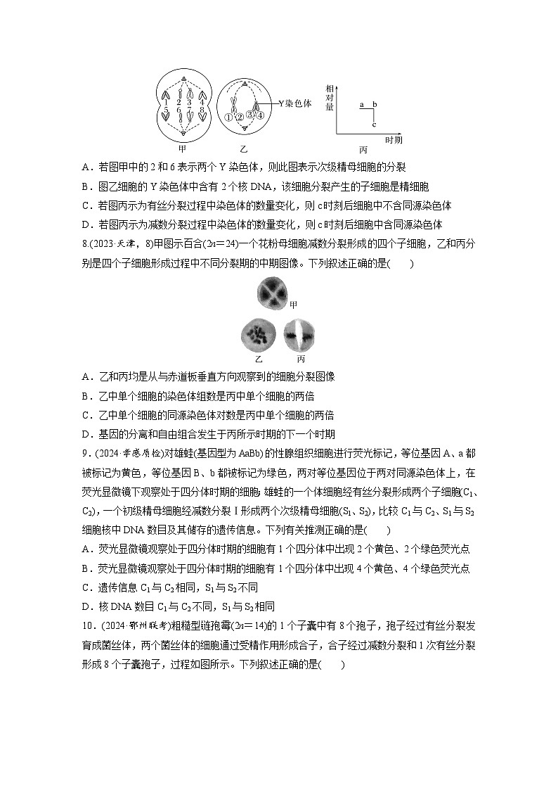【备考2026】高考生物一轮复习资源：第4单元 课时练18 减数分裂与有丝分裂的比较及观察蝗虫精母细胞减数分裂装片 课时精练第3页