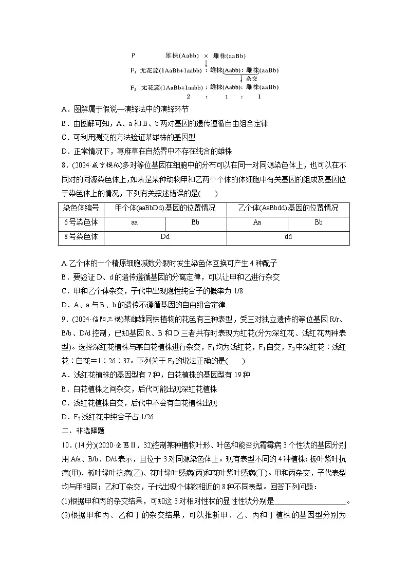 【备考2026】高考生物一轮复习资源：第5单元 课时练22 自由组合定律（课时精练）（学生版）第3页