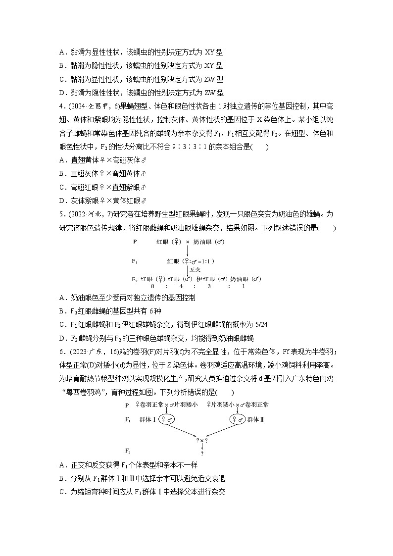 【备考2026】高考生物一轮复习资源：第5单元 课时练23 基因在染色体上和伴性遗传（课时精练）（学生版）第2页