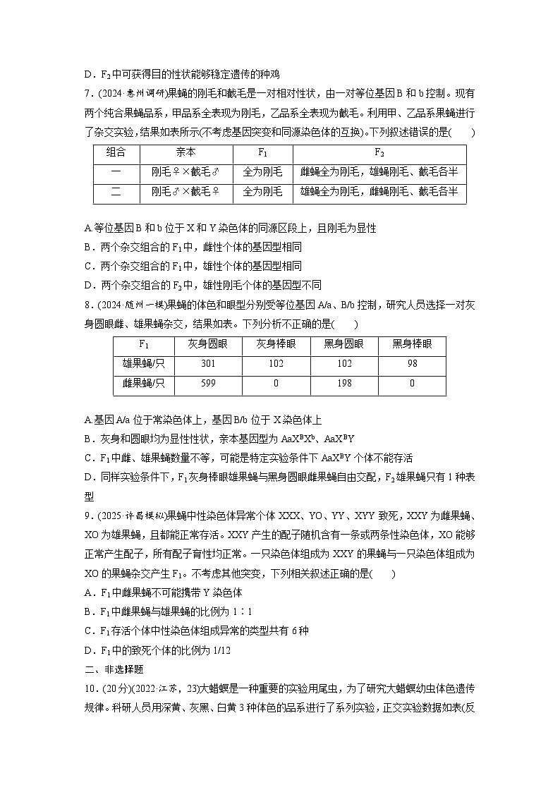【备考2026】高考生物一轮复习资源：第5单元 课时练23 基因在染色体上和伴性遗传（课时精练）（学生版）第3页