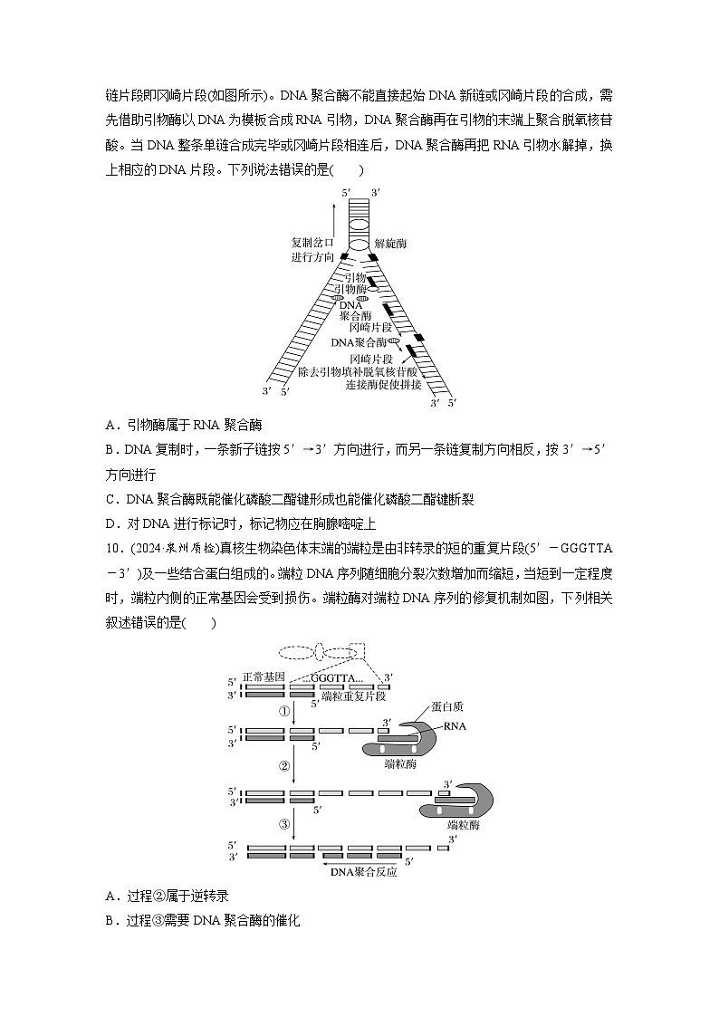 【备考2026】高考生物一轮复习资源：第6单元 课时练26 DNA的结构、复制和基因的本质（课时精练）（学生版）第3页