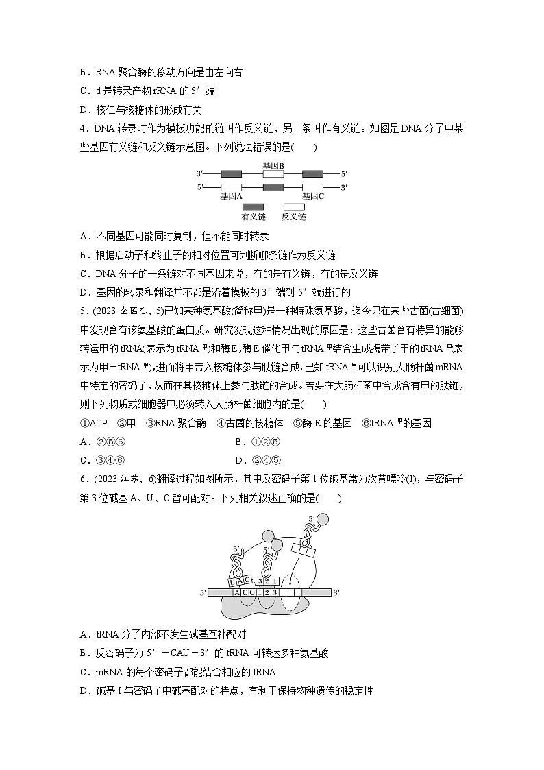 【备考2026】高考生物一轮复习资源：第6单元 课时练27 基因的表达（课时精练）（学生版）第2页