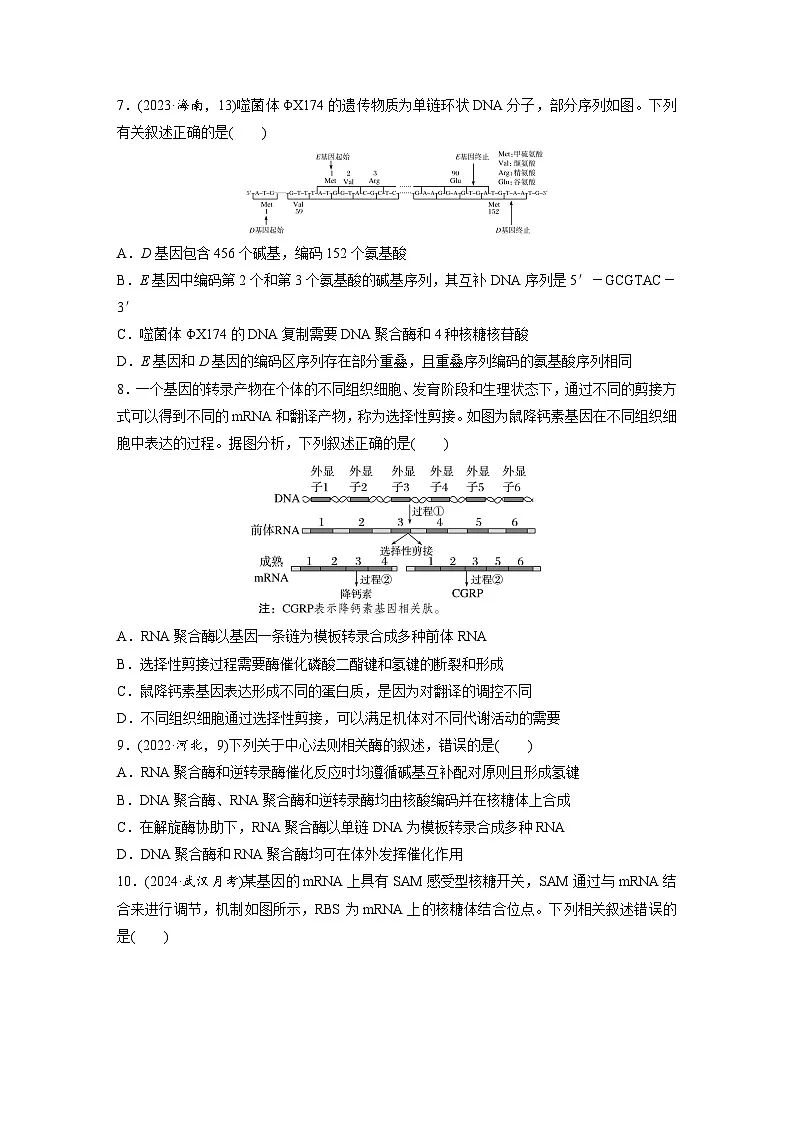 【备考2026】高考生物一轮复习资源：第6单元 课时练27 基因的表达（课时精练）（学生版）第3页