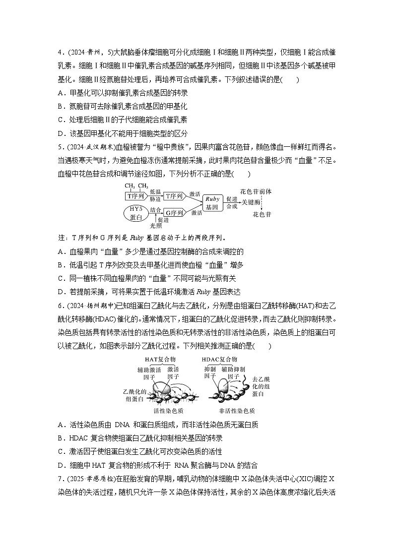 【备考2026】高考生物一轮复习资源：第6单元 课时练28 基因表达与性状的关系（课时精练）（学生版）第2页