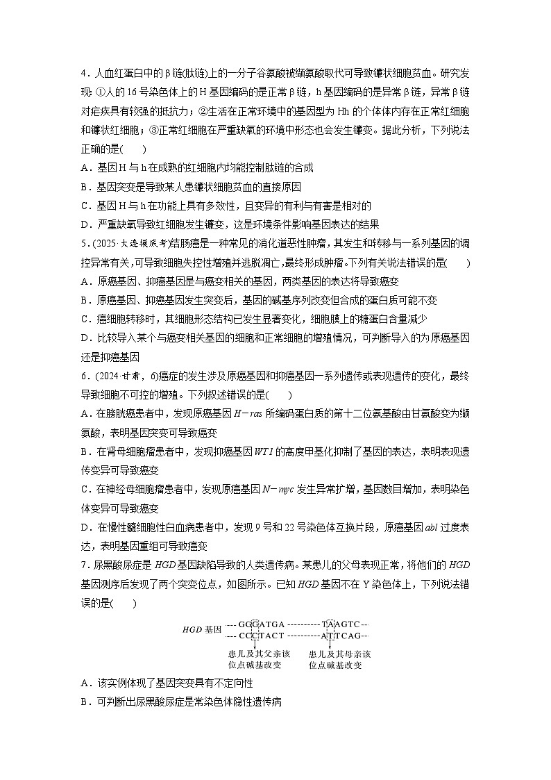 【备考2026】高考生物一轮复习资源：第7单元 课时练29 基因突变和基因重组（课时精练）（学生版）第2页