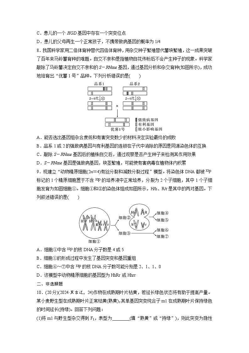 【备考2026】高考生物一轮复习资源：第7单元 课时练29 基因突变和基因重组（课时精练）（学生版）第3页
