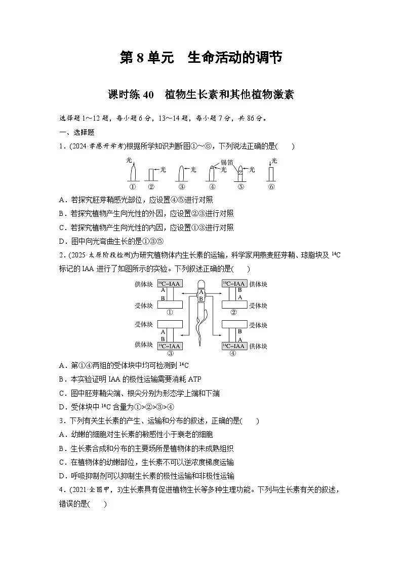 【备考2026】高考生物一轮复习资源：第8单元 课时练40 植物生长素和其他植物激素（课时精练）（学生版）第1页