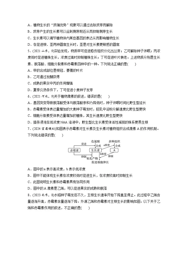 【备考2026】高考生物一轮复习资源：第8单元 课时练40 植物生长素和其他植物激素（课时精练）（学生版）第2页