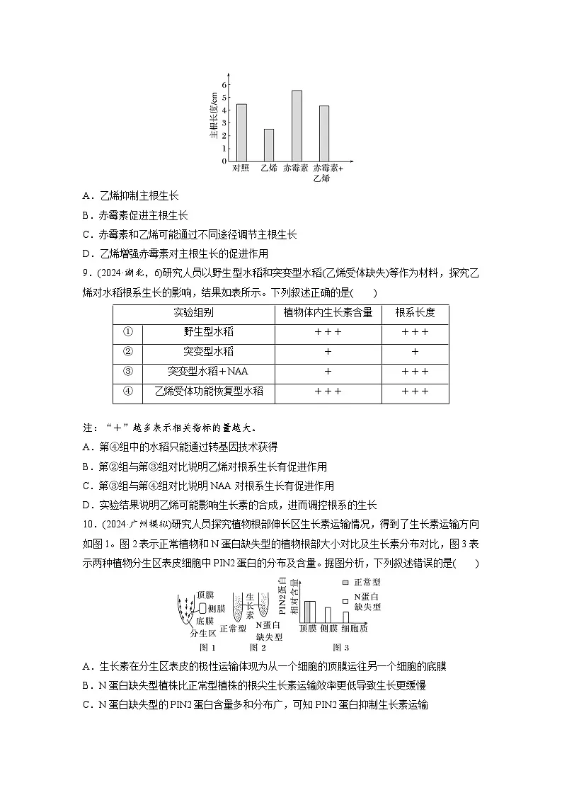 【备考2026】高考生物一轮复习资源：第8单元 课时练40 植物生长素和其他植物激素（课时精练）（学生版）第3页