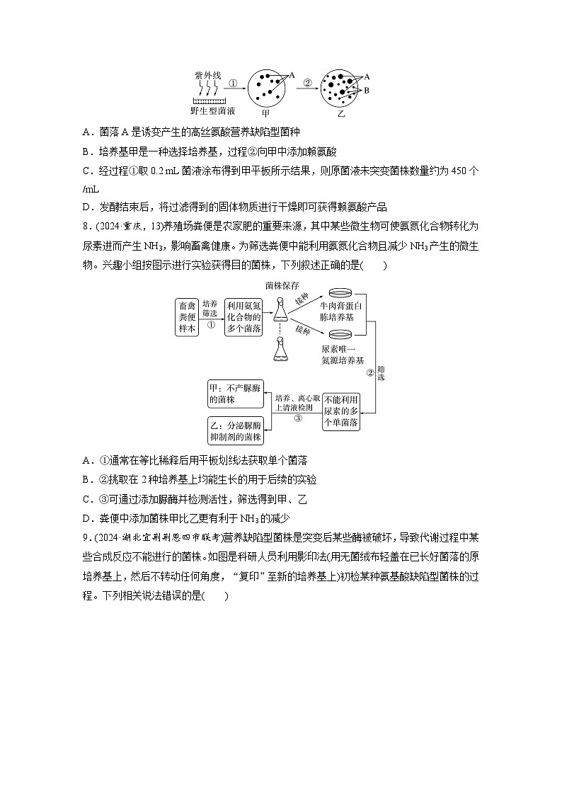 【备考2026】高考生物一轮复习资源：第10单元 课时练50 微生物的培养技术与应用（课时精练）（学生版）第3页