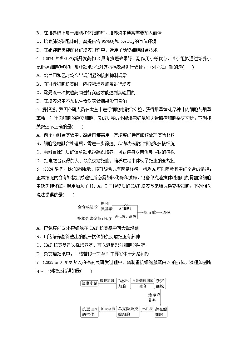 【备考2026】高考生物一轮复习资源：第10单元 课时练52 动物细胞工程（课时精练）（学生版）第2页