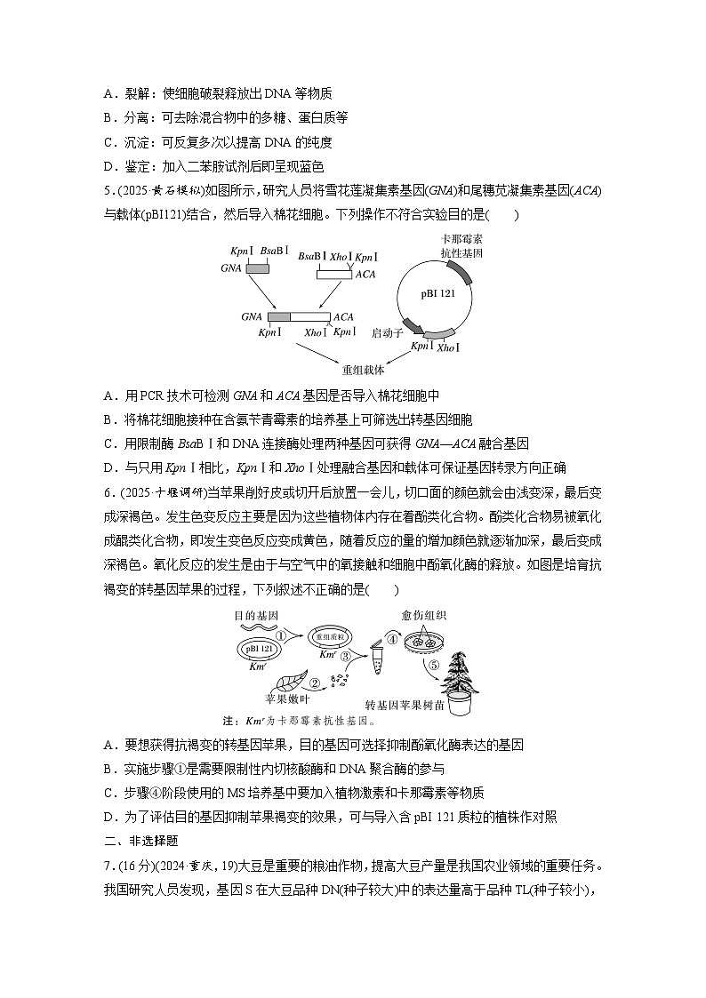 【备考2026】高考生物一轮复习资源：第10单元 课时练54 基因工程的基本工具和基本操作程序(含DNA的粗提取)（课时精练）（学生版）第2页
