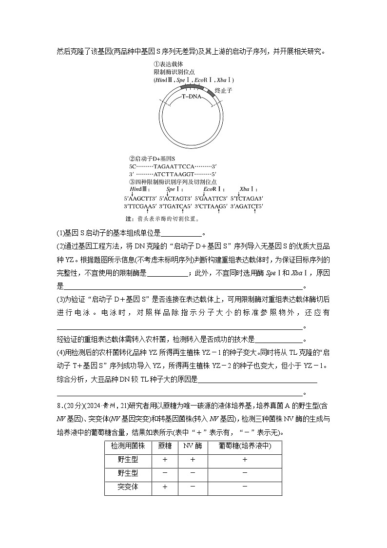 【备考2026】高考生物一轮复习资源：第10单元 课时练54 基因工程的基本工具和基本操作程序(含DNA的粗提取)（课时精练）（学生版）第3页