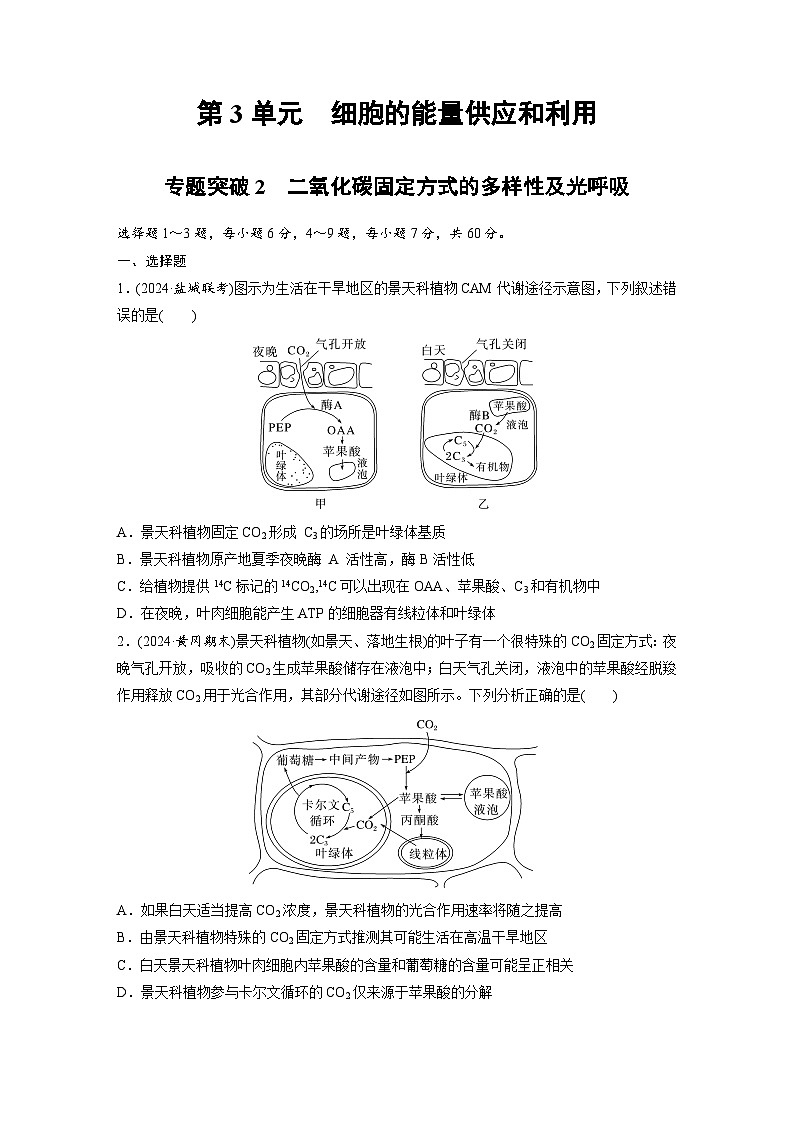 【备考2026】高考生物一轮复习资源：第3单元 专题突破2 二氧化碳固定方式的多样性及光呼吸（课时精练）（学生版）第1页