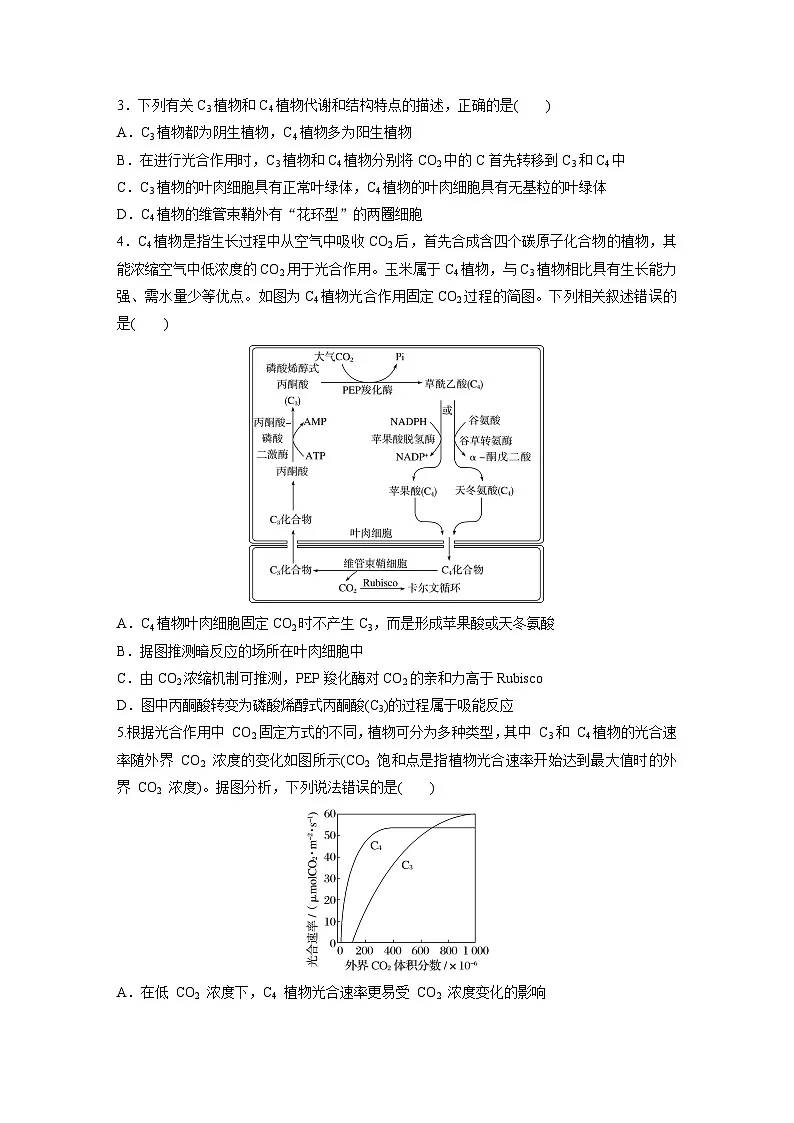 【备考2026】高考生物一轮复习资源：第3单元 专题突破2 二氧化碳固定方式的多样性及光呼吸（课时精练）（学生版）第2页