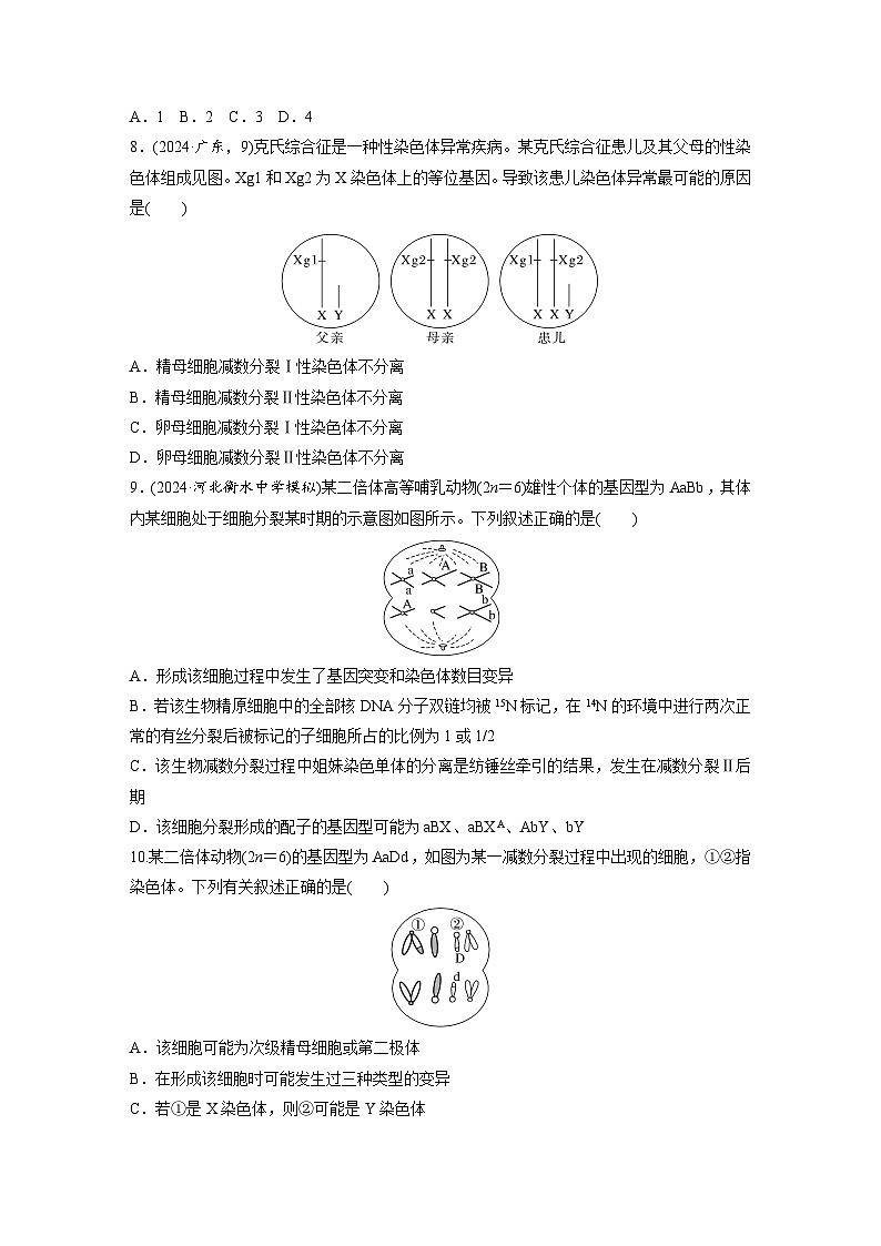 【备考2026】高考生物一轮复习资源：第4单元 专题突破4 减数分裂与可遗传变异的关系（课时精练）（学生版）第3页