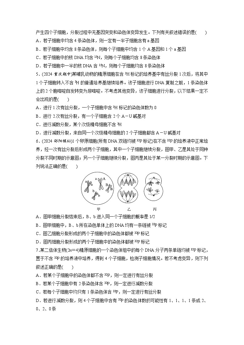 【备考2026】高考生物一轮复习资源：第4单元 专题突破5 DNA复制与细胞分裂中染色体的标记问题（课时精练）（学生版）第2页