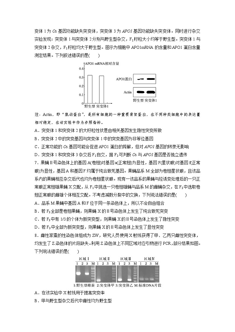 【备考2026】高考生物一轮复习资源：第7单元 专题突破9 聚焦变异热点题型（课时精练）（学生版）第3页
