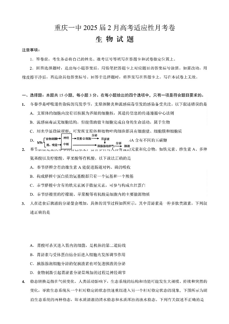 重庆市第一中学校2025届高三下学期2月开学考试生物试卷（含答案）第1页