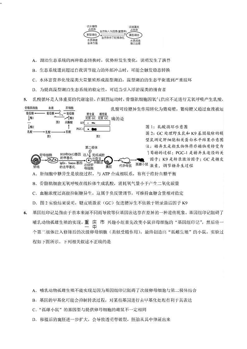 重庆市第一中学校2025届高三下学期2月开学考试生物试卷（含答案）第2页