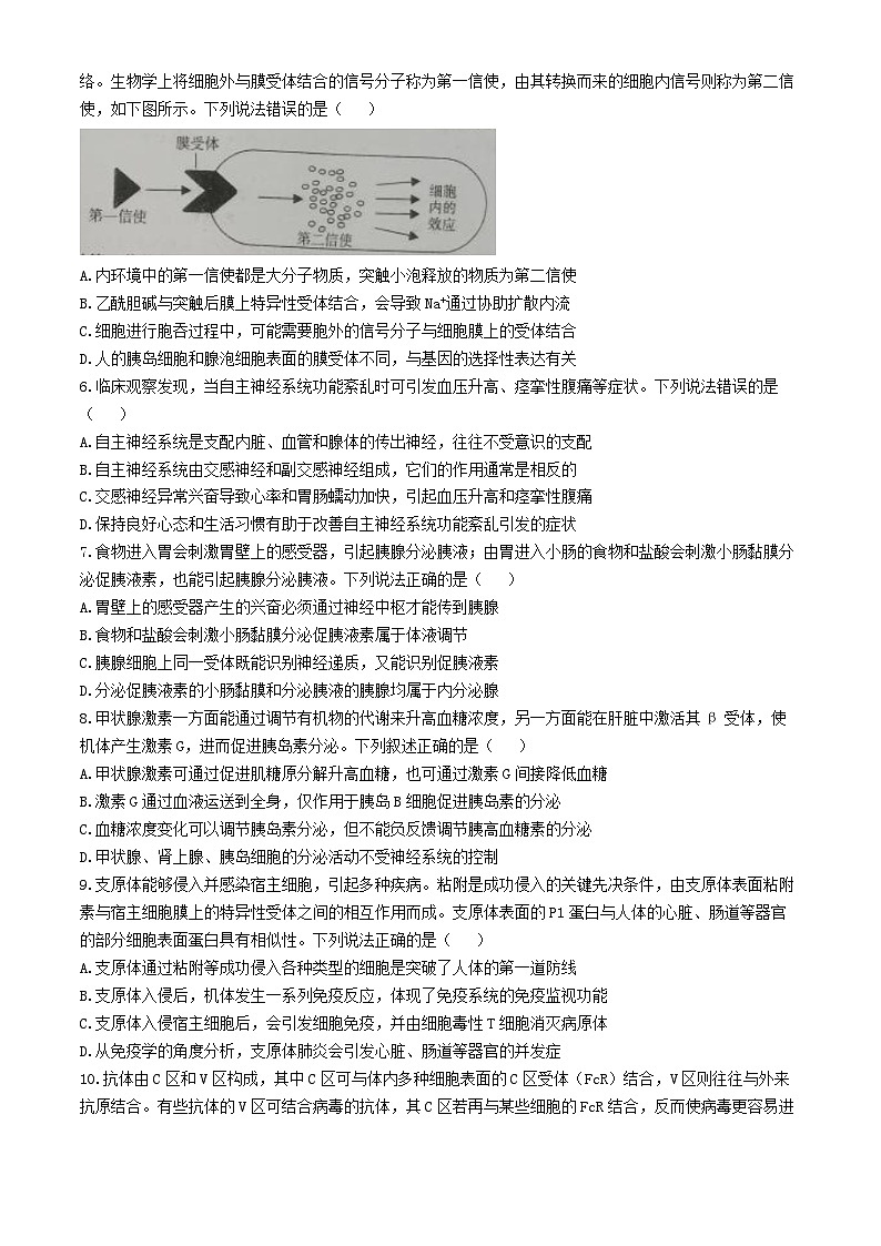 山东省烟台市2024_2025学年高二生物上学期期中试题第2页