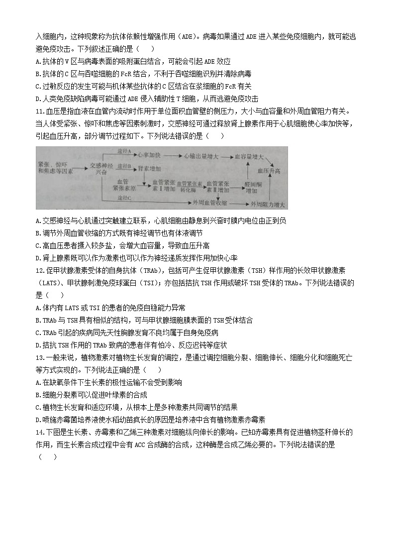 山东省烟台市2024_2025学年高二生物上学期期中试题第3页