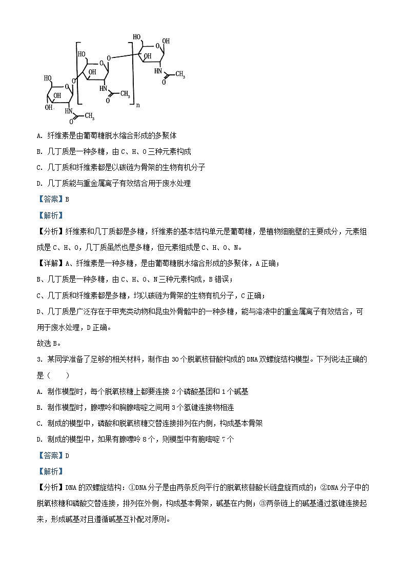 山东省淄博市2023_2024学年高一生物上学期期末教学质量检测试题含解析第2页