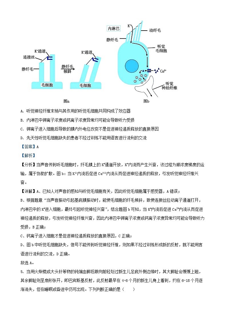四川省成都市2024_2025学年高二生物上学期11月期中试题含解析第3页