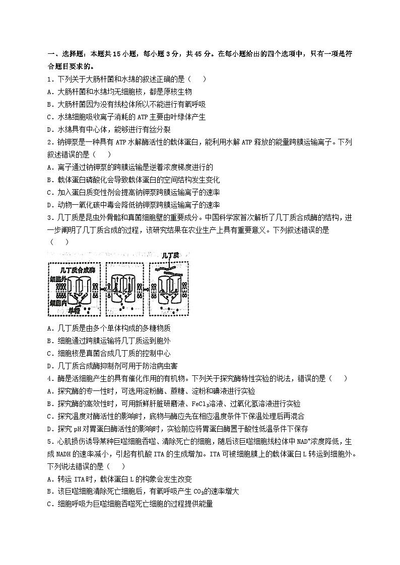 四川省南充市2024_2025学年高三生物上学期12月月考试题第1页