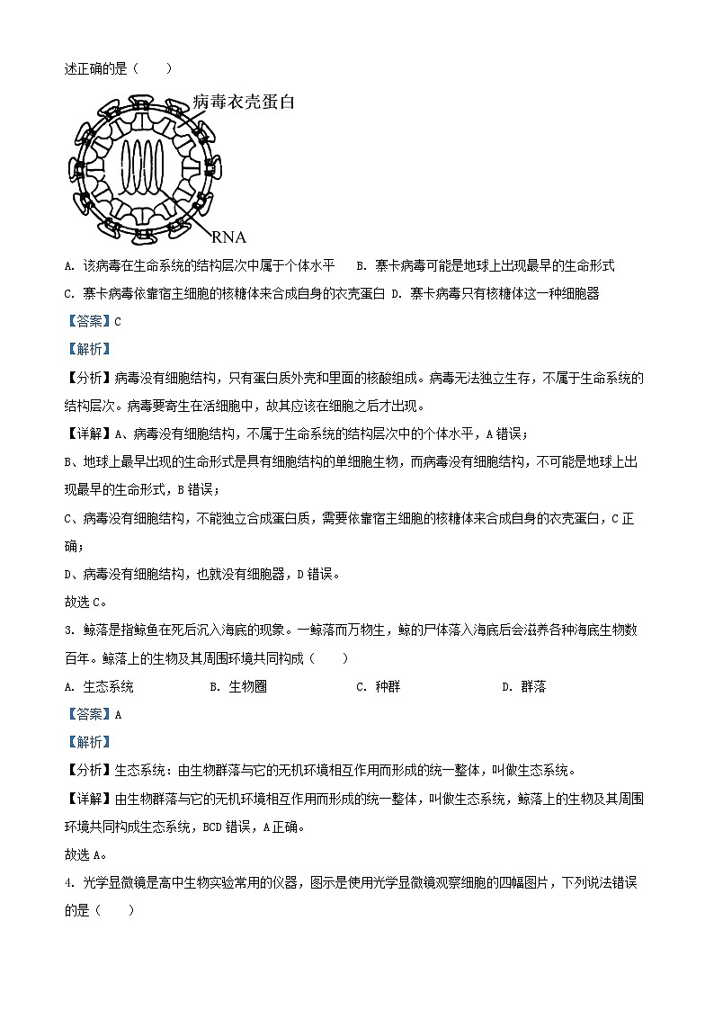 四川省遂宁市2024_2025学年高一生物上学期12月期中试题含解析第2页