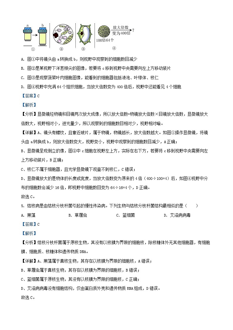 四川省遂宁市2024_2025学年高一生物上学期12月期中试题含解析第3页