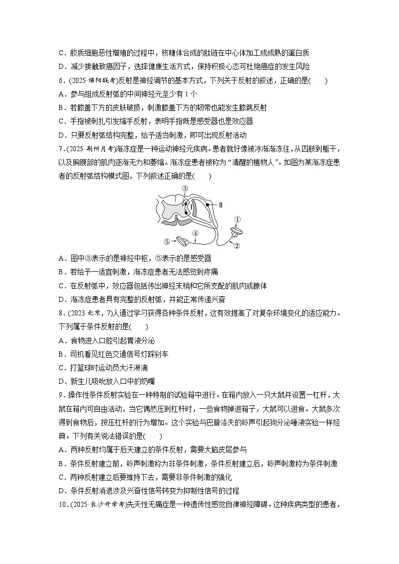 【备考2026】高考生物一轮复习资源：第8单元 课时练33 神经调节的结构基础和基本方式（课时精练）（学生版）第2页