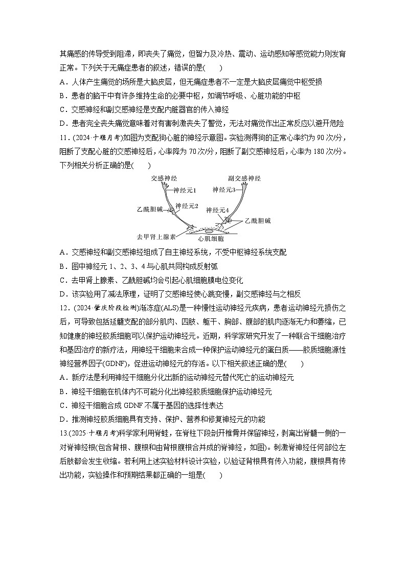 【备考2026】高考生物一轮复习资源：第8单元 课时练33 神经调节的结构基础和基本方式（课时精练）（学生版）第3页