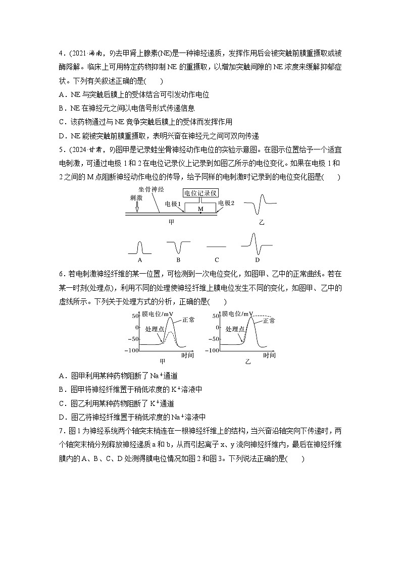 【备考2026】高考生物一轮复习资源：第8单元 课时练34 神经冲动的产生和传导（课时精练）（学生版）第2页