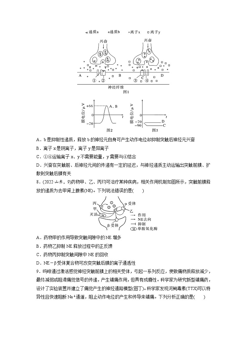 【备考2026】高考生物一轮复习资源：第8单元 课时练34 神经冲动的产生和传导（课时精练）（学生版）第3页