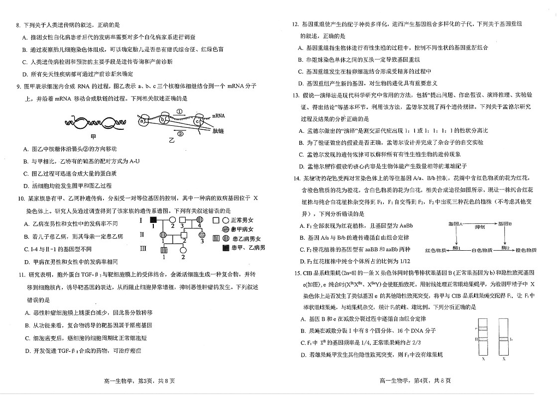 四川省雅安市2024-2025学年高一下学期期末教学质量检测生物试卷第2页
